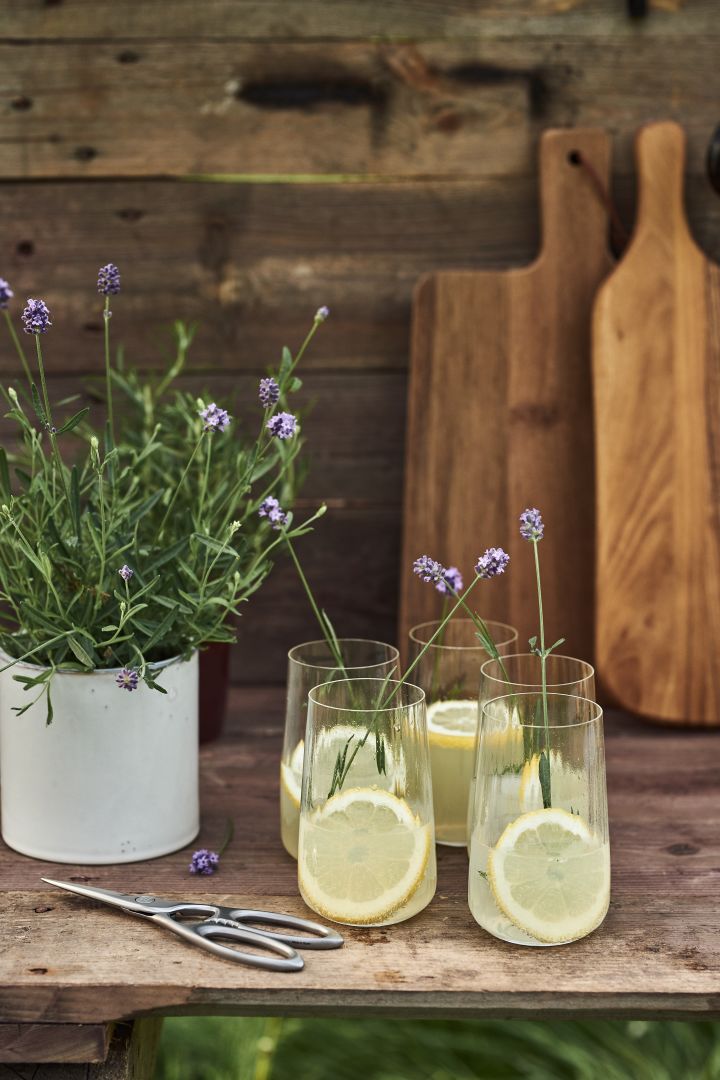 Enkle sommerdrinker å prøve i sommer - en klassisk lemonade med tonic i et glass fra Georg Jensen.