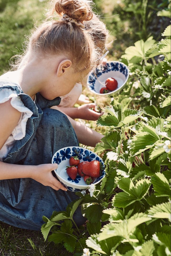 Bucket list tips nr 14. - Gå ut på jordbærplukking med barna for en ordentlig norsk sommer.