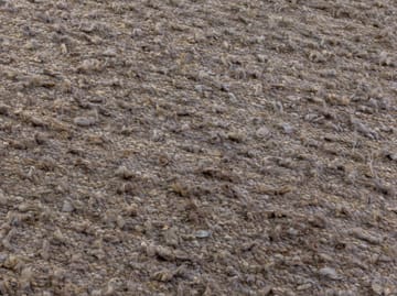 Woolly teppe - Light brown 200 x 300 cm - Kateha