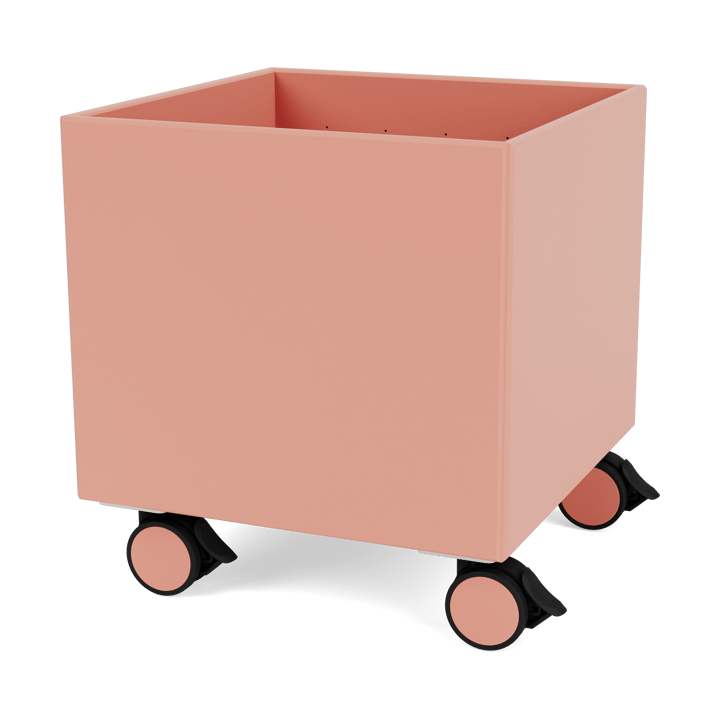 Colour Box I - S6161 - Rhubarb - Montana