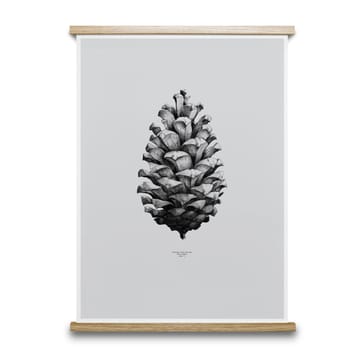 1:1 Pine Cone poster - grå 50x70 cm - Paper Collective