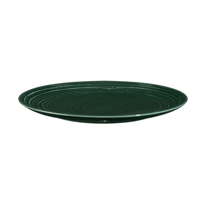 Terra tallerken Ø 22,7 cm 6-pakning - Moss Green - Seltmann Weiden